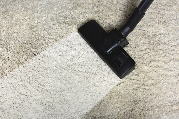 Professional Carpet Cleaning