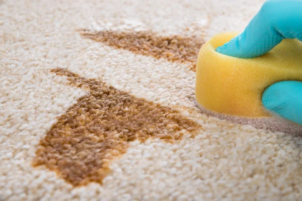 Pet Stain Treatment